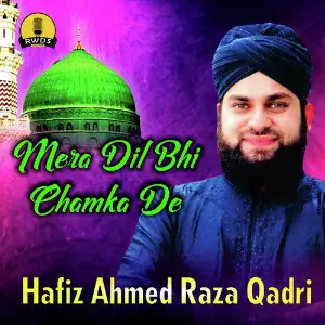 Mera Koi Nahi Hai Tere Siwa Hafiz Ahmed Raza Qadri