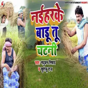 Naihar Ke Badi Tu Chatni image