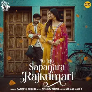 Tu Mo Sapanara Rajkumari image