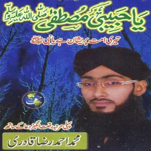 Ya Habibi Mustafa image