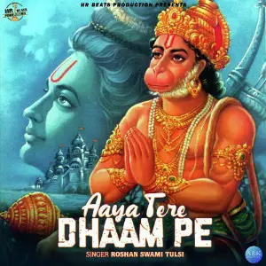 Aaya Tere Dhaam Pe - Single image