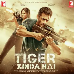 Tiger Zinda Hai image