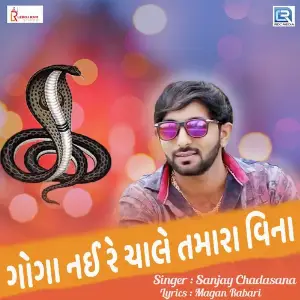 Goga Nai Re Chale Tamara Vina image