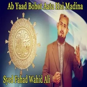 Ab Yaad Bohot Aata Hai Madina image