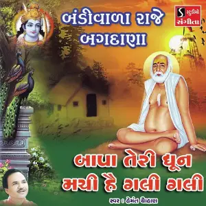 Bandivala Raje Bagdana image