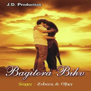 Bagitora Bihu Song Various Artists