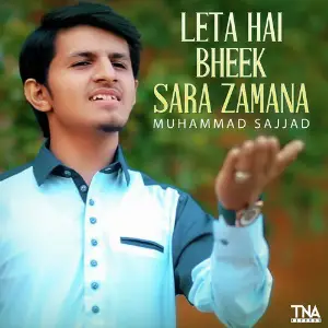 Leta Hai Bheek Sara Zamana - Single image