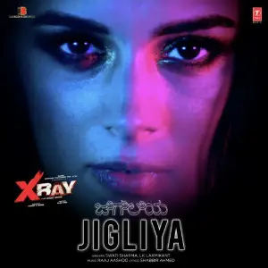 Jigliya (From X-Ray - The Inner Image) image