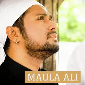 Maula Ali image