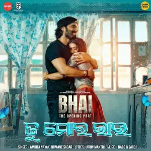 Tu Mora Bhai (From Bhai) image