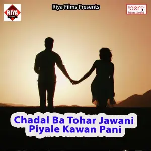 Chadal Ba Tohar Jawani Piyale Kawan Pani Various Artists