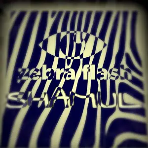Zebra Flash image