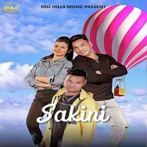 Sakini image