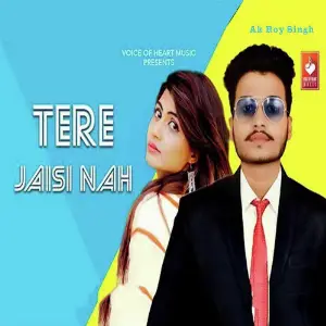 Tere Jaisi Nah image