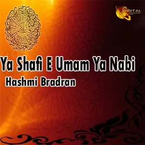 Ya Shafi-e-Umam Ya Nabi image