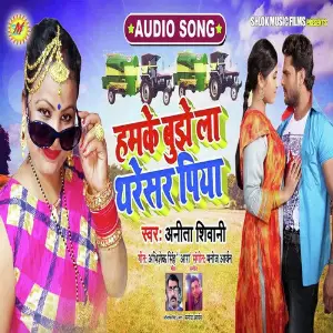 Hamke Bujhela Tharesar Piya image