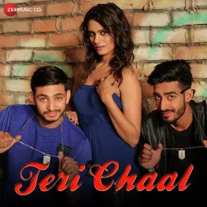 Teri Chaal image