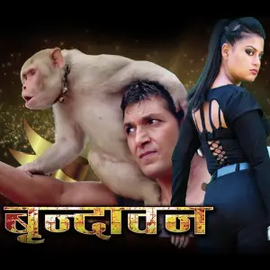 Brindawan image