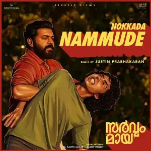 Nokkada Nammude (From Sarvam Maya) (Remix) image