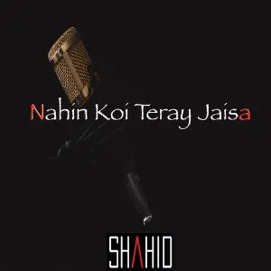 Nahin Koi Teray Jaisa image