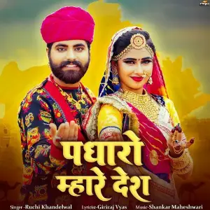 Padharo Mhare Desh image