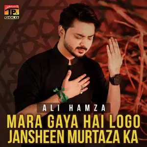 Mara Gaya Hai Logo Jansheen Murtaza Ka - Single image