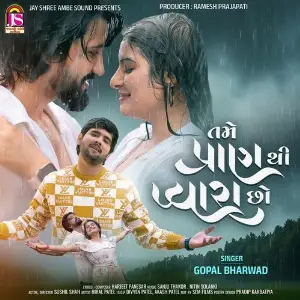 Tame Pran Thi Pyara Cho image