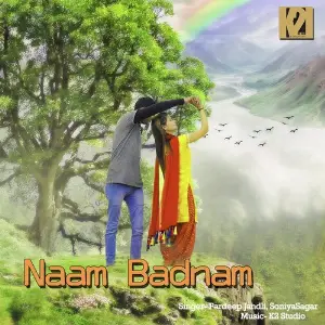 Naam Badnam image