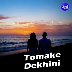 Tomake Dekhini image