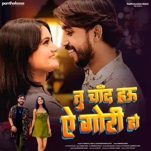 Tu Chand Hau Ae Gori Ho image