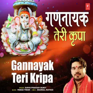 Gannayak Teri Kripa image