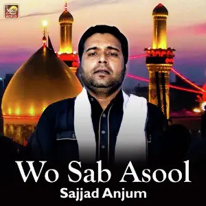 Wo Sab Asool - Single image