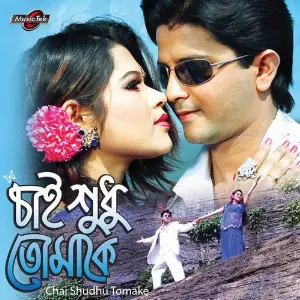 Chai Shudhu Tomake image