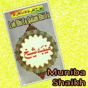 Loh Bhi Tu Qalam Bhi Tu image