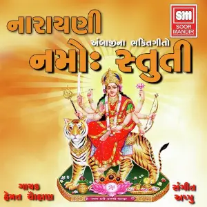 Narayani Namo Stuti image