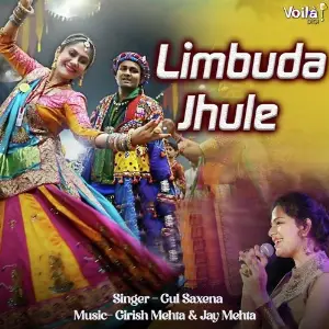 Limbuda Jhule image