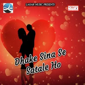 Dhake Sina Se Satale Ho image