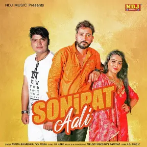 Sonipat Aali image