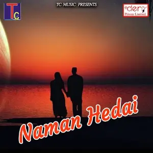 Naman Hedai image