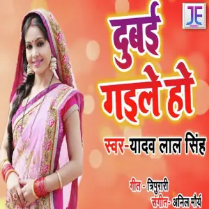 Dubai Gayile Ho image