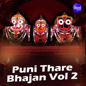 Puni Thare Bhajan Vol 2 image