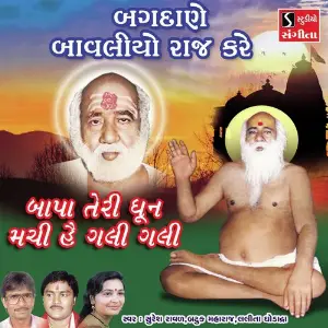 Bagdane Bavaliyo Raj Kare image