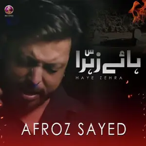 Haye Zehra - Single image