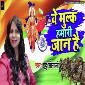 Ye Mulk Humari Jaan Hai image