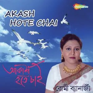 Akash Hote Chai image