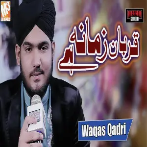 Qurban Zamana Hai - Single image