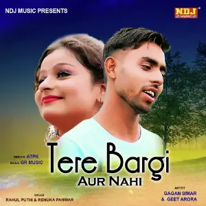 Tere Bargi Aur Nahi image