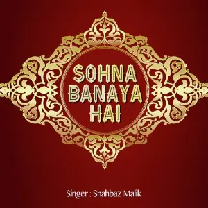 Sohna Banaya Hai image