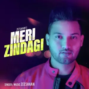 Meri Zindagi image