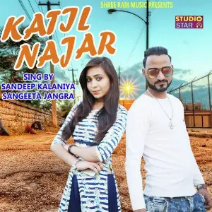 Katil Najar image